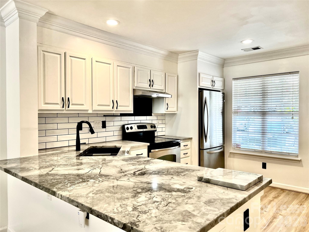 10132 Reindeer Way Lane - Photo 2