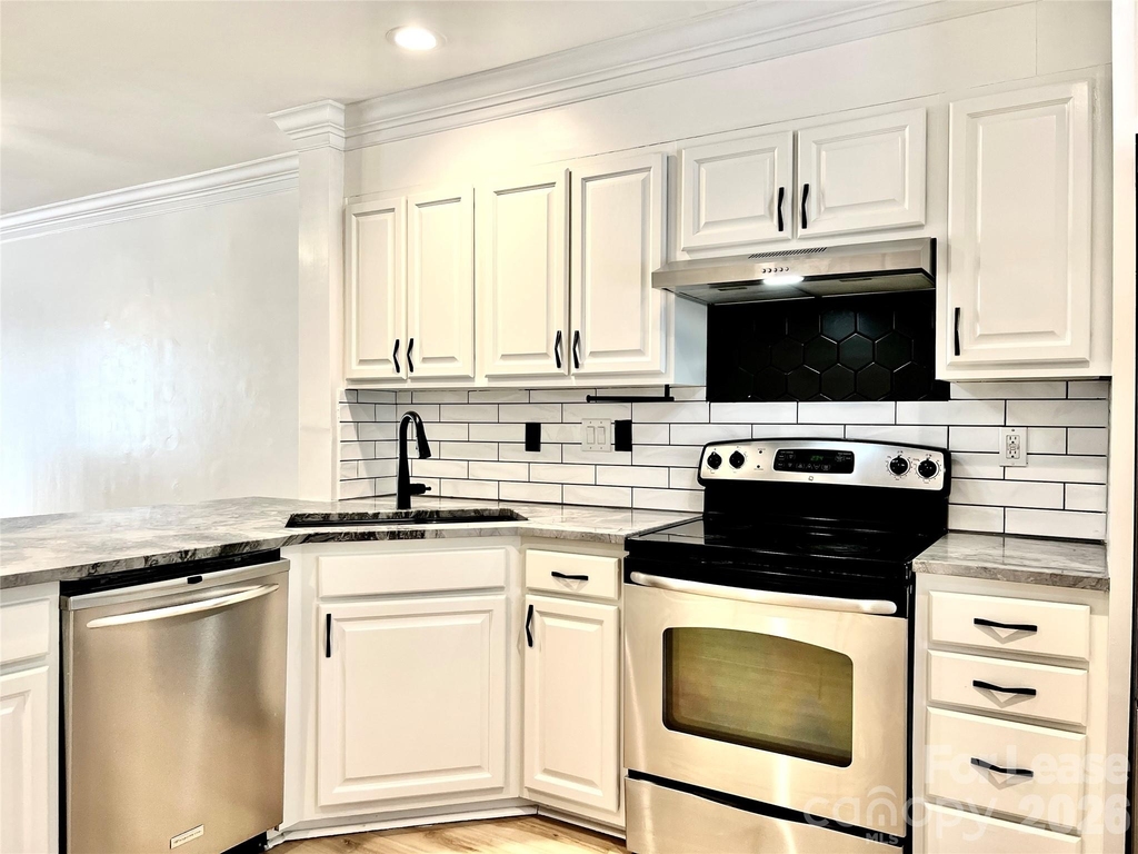 10132 Reindeer Way Lane - Photo 4