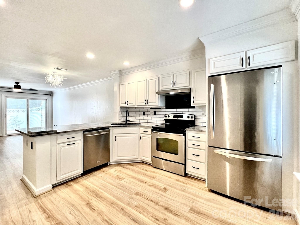 10132 Reindeer Way Lane - Photo 5