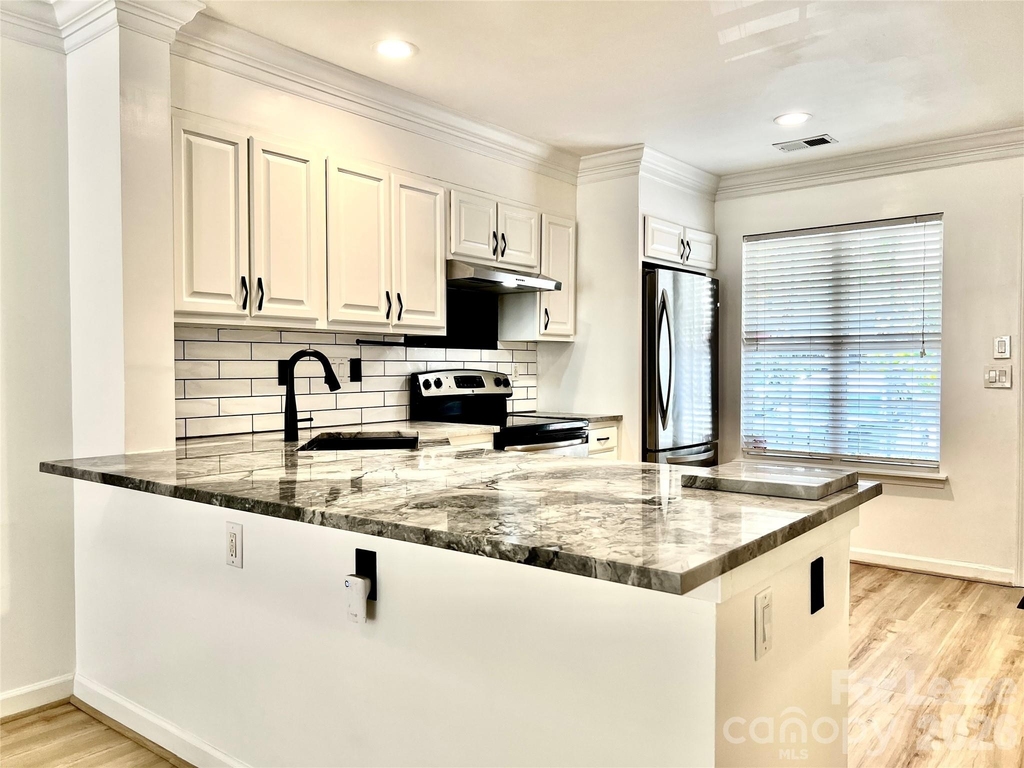 10132 Reindeer Way Lane - Photo 3