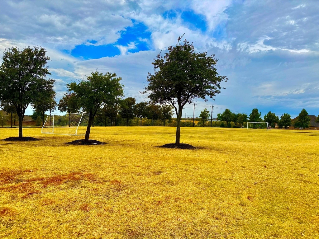 11012 Carrizo Road - Photo 33