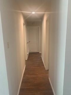 421 Shady Brook Drive - Photo 7