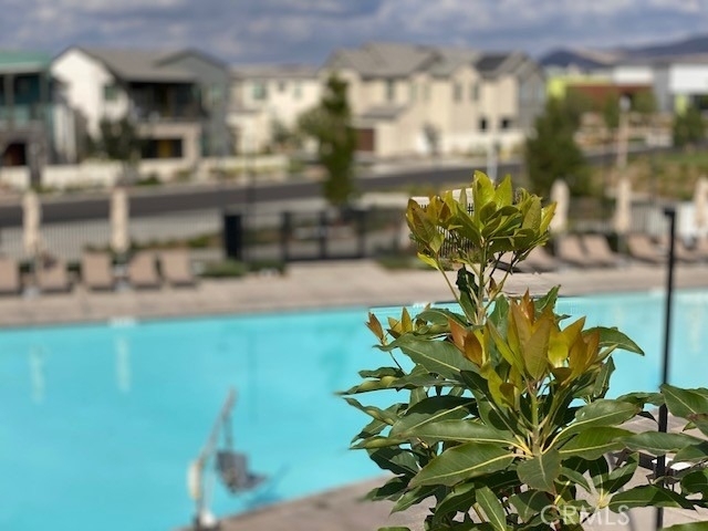 1055 Cadence - Photo 44