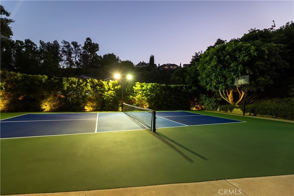 25911 Rich Springs - Photo 14