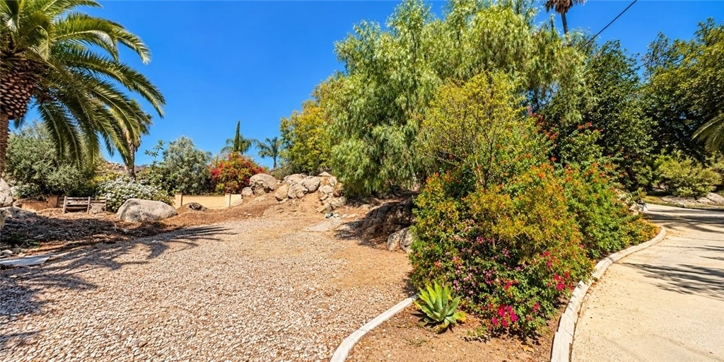 23874 Rhodes Avenue - Photo 4