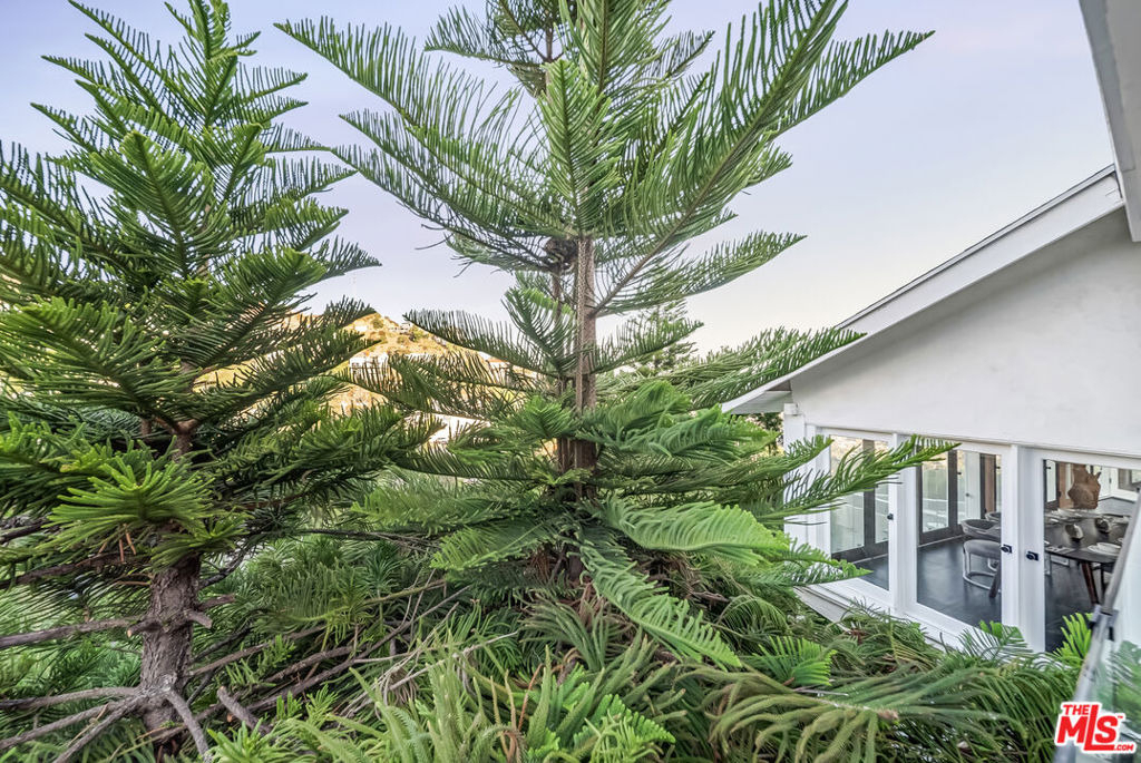 8874 Evanview Drive - Photo 40