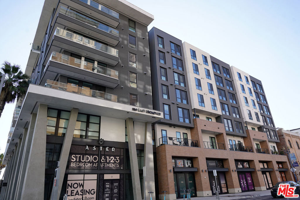 250 E Broadway - Photo 39