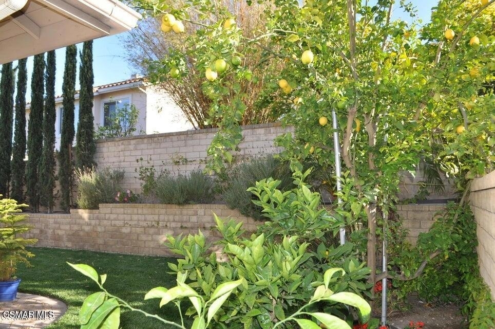 1596 Blue Canyon Street - Photo 49