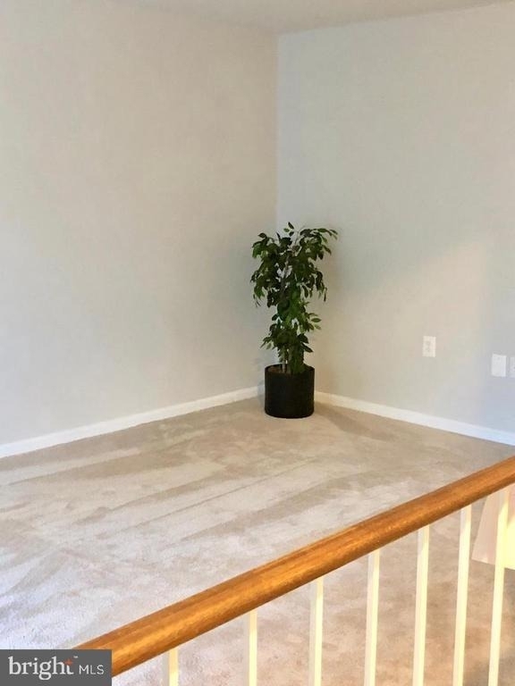4429 Holly Avenue - Photo 3