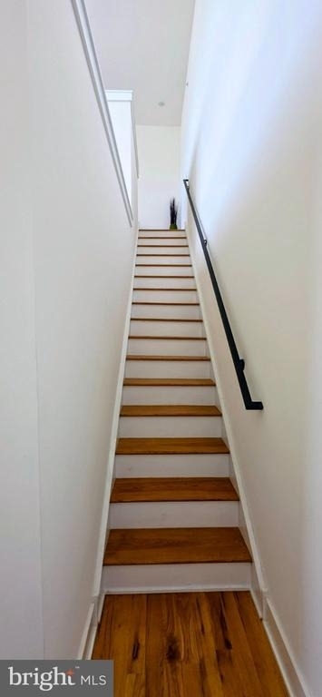 1003 N Bodine Street - Photo 3