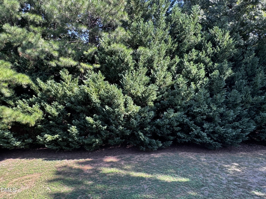 2503 Beckett's Ridge Drive - Photo 9