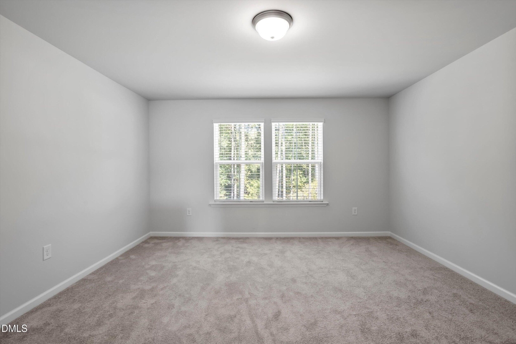 329 Providence Springs Lane - Photo 30