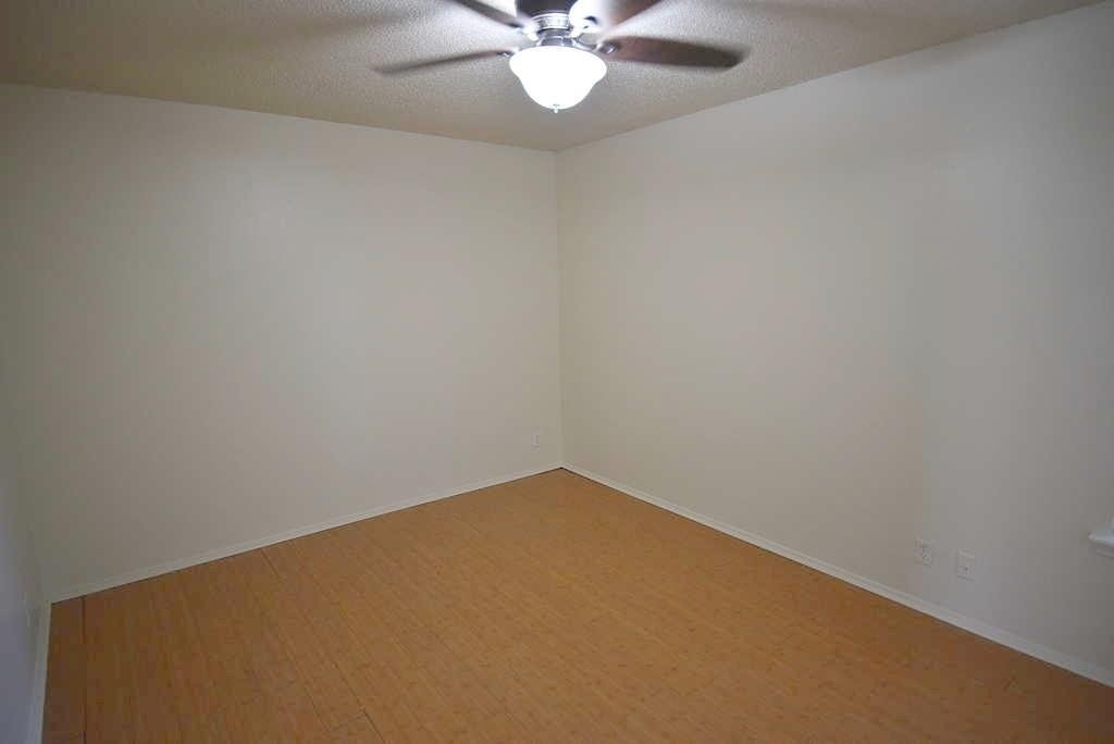 3319 Dolphin Dr - Photo 12