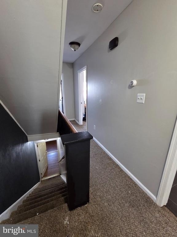 304 Concord Avenue - Photo 2