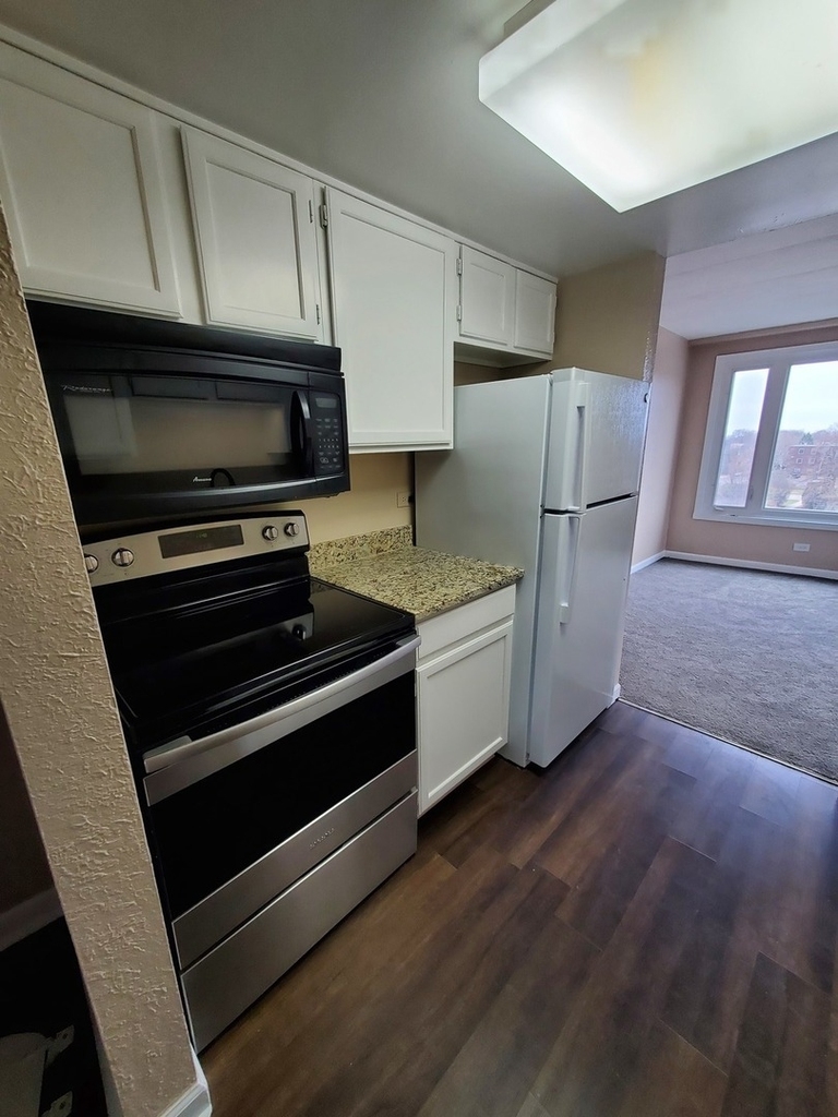1 Renaissance Place - Photo 13