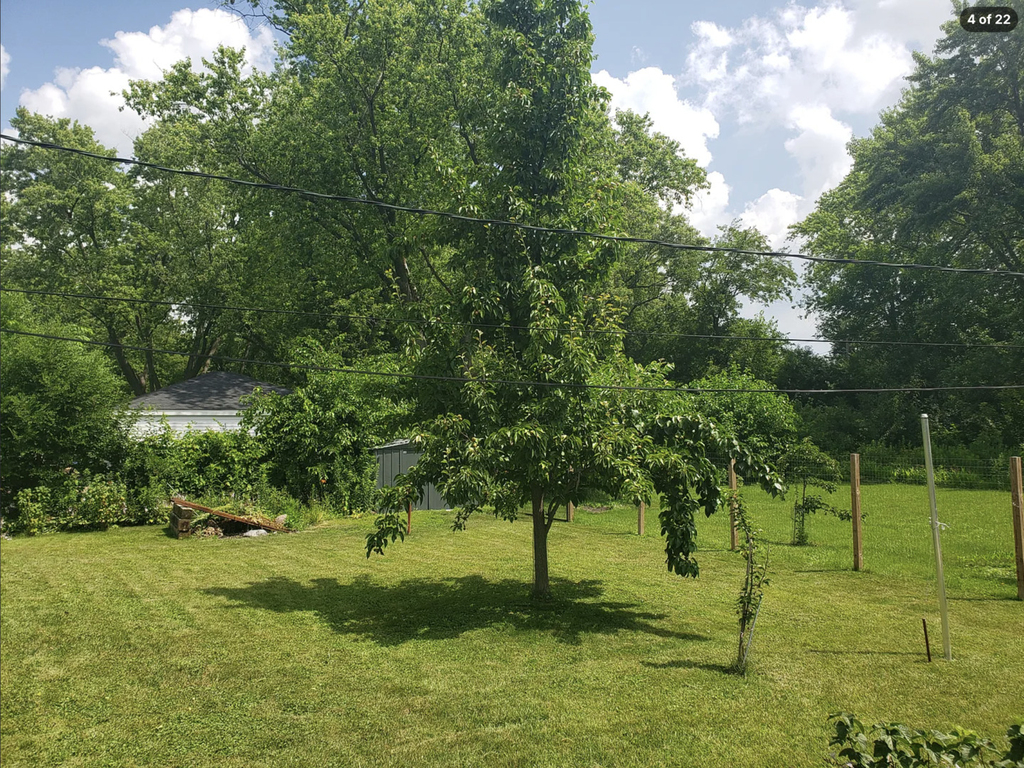 20821 Dogwood Street - Photo 19