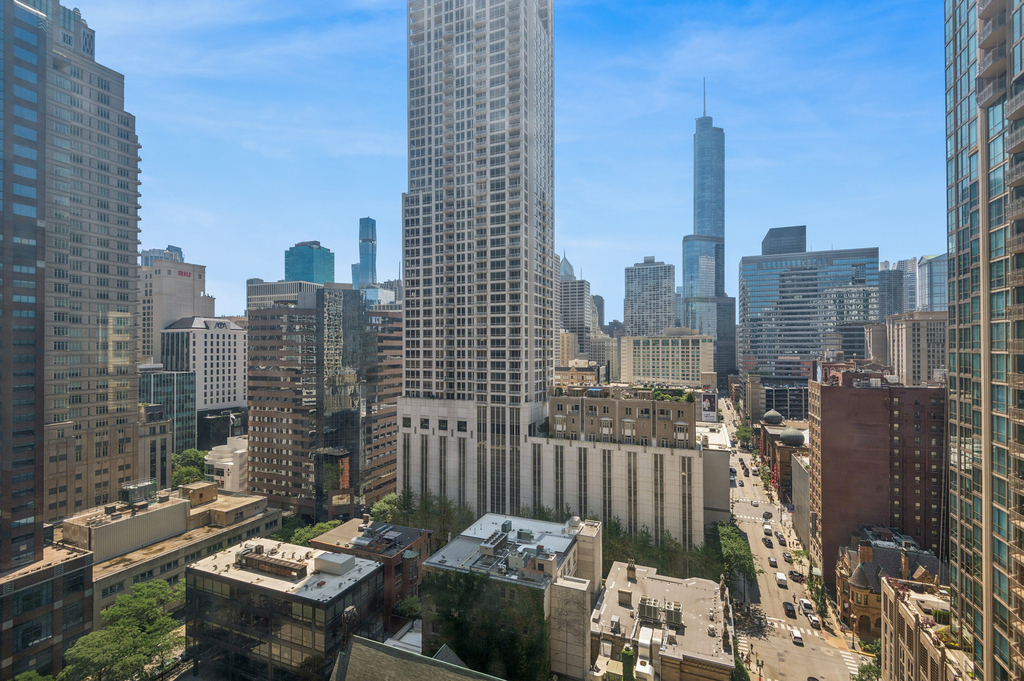 30 E Huron Street - Photo 16
