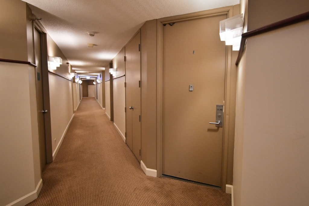 3660 N Lake Shore Drive - Photo 2