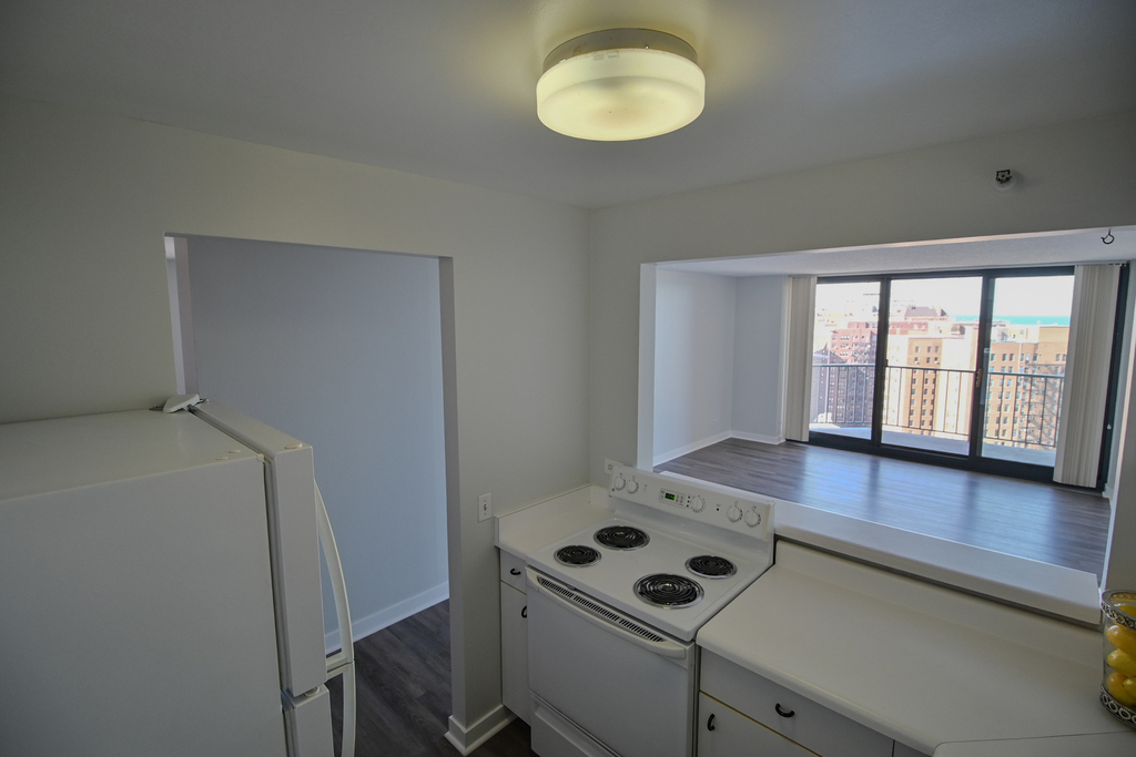 3660 N Lake Shore Drive - Photo 10