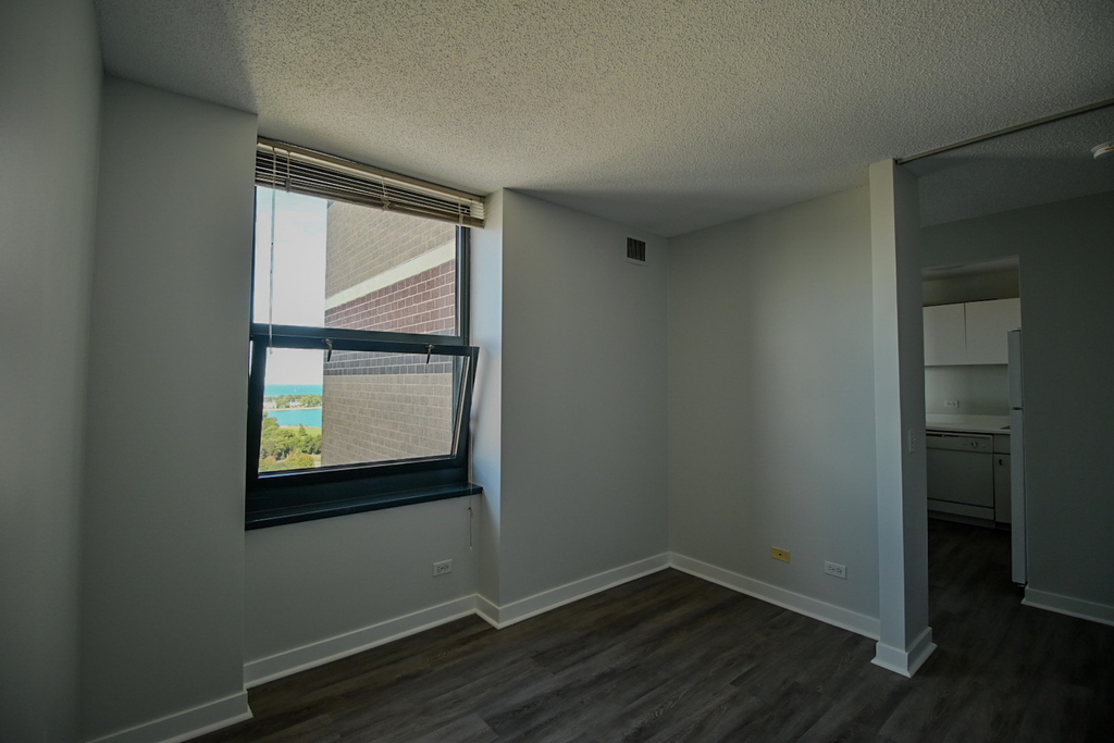 3660 N Lake Shore Drive - Photo 12