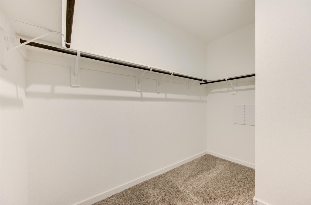 30222 Belgrade Park Lane - Photo 33