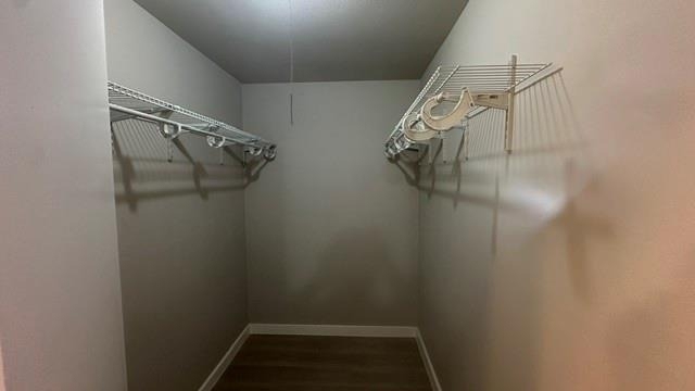 9303 Hammerly Boulevard - Photo 9