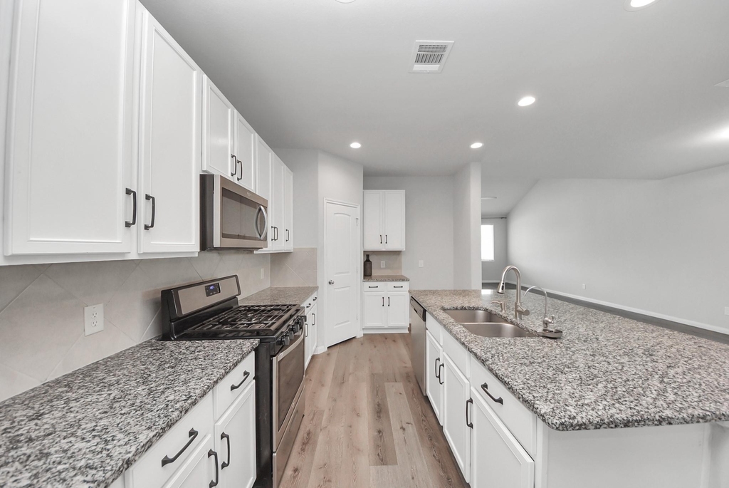 24706 Bastiani Canvas Lane - Photo 12