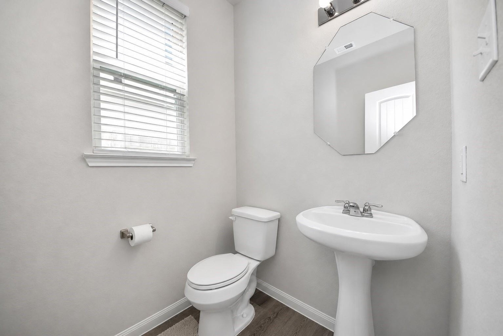 24706 Bastiani Canvas Lane - Photo 13