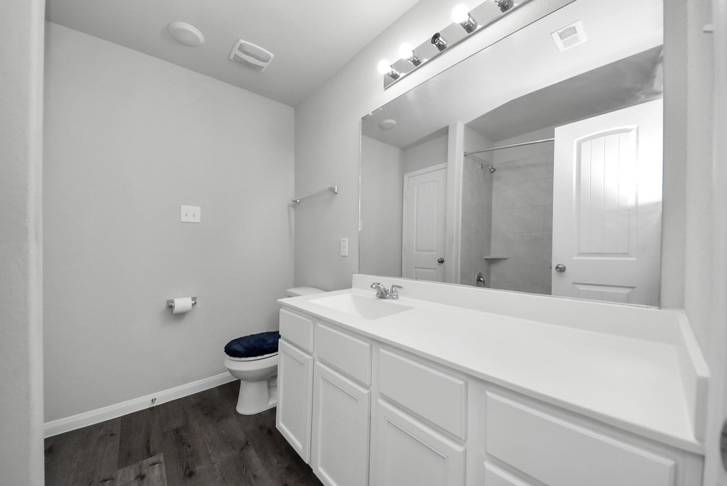 24706 Bastiani Canvas Lane - Photo 26