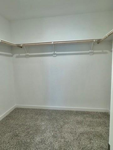 3511 Blackbird Ln - Photo 6
