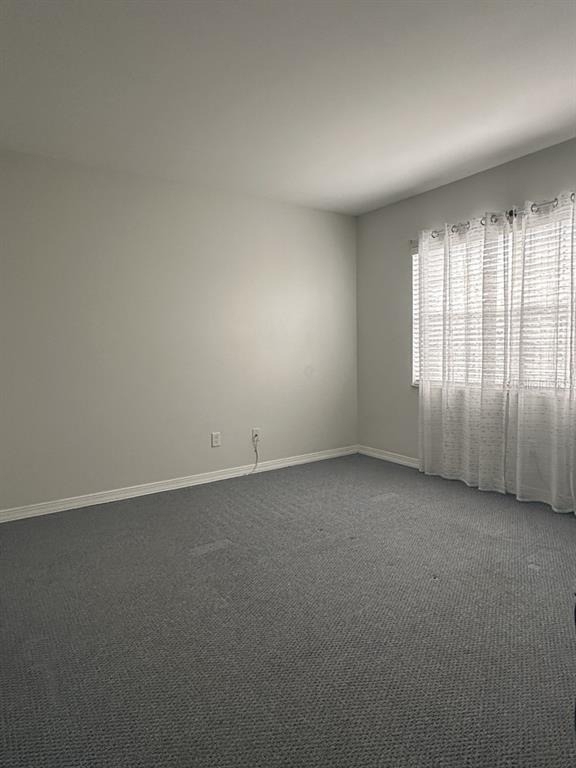 10325 Carrollwood Lane - Photo 14
