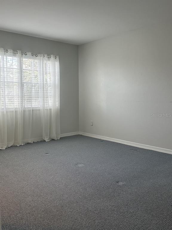 10325 Carrollwood Lane - Photo 10
