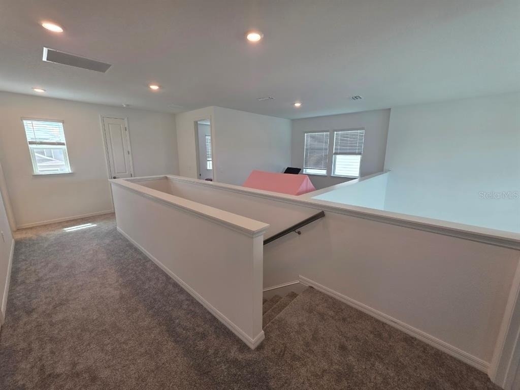 5659 Ficus Aurea Street - Photo 23
