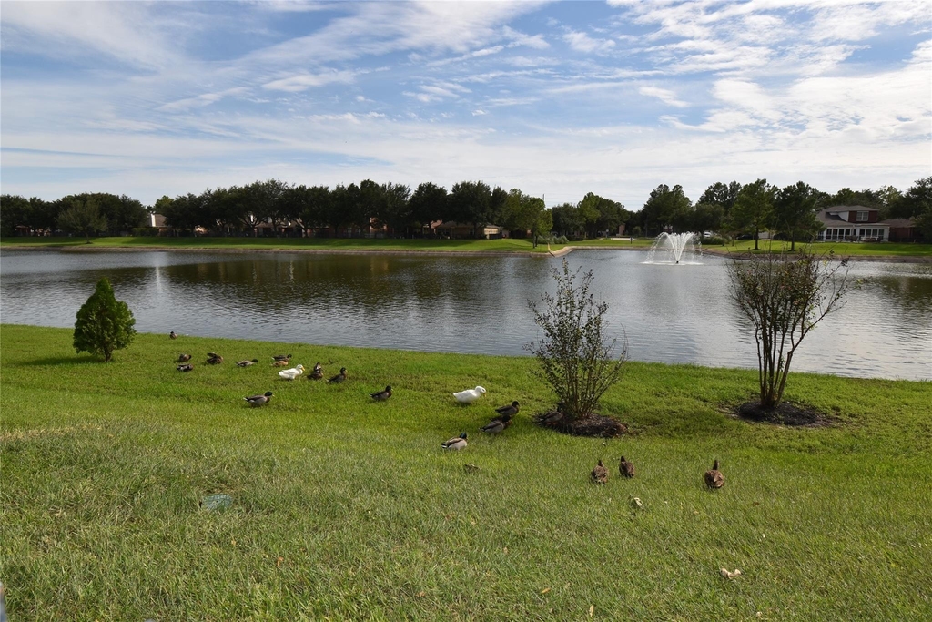 17611 Hoover Gardens Drive - Photo 41
