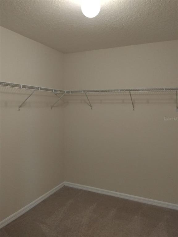 13836 Pickett Reserve Court - Photo 7