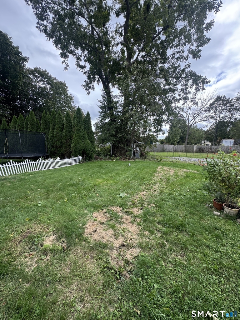 115 Whitfield Street - Photo 11