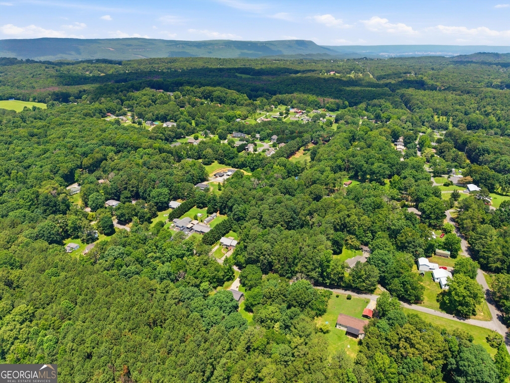 117 S Forest Road - Photo 41