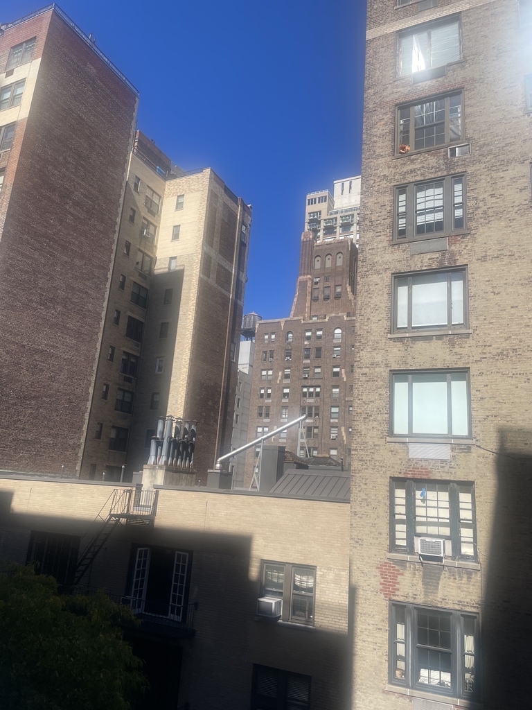 405 East 56th Street, 9LA - Photo 4