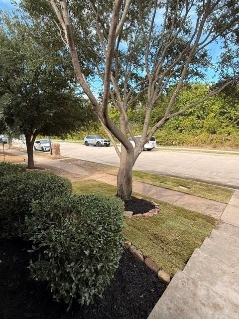 2245 Colby Lane - Photo 3