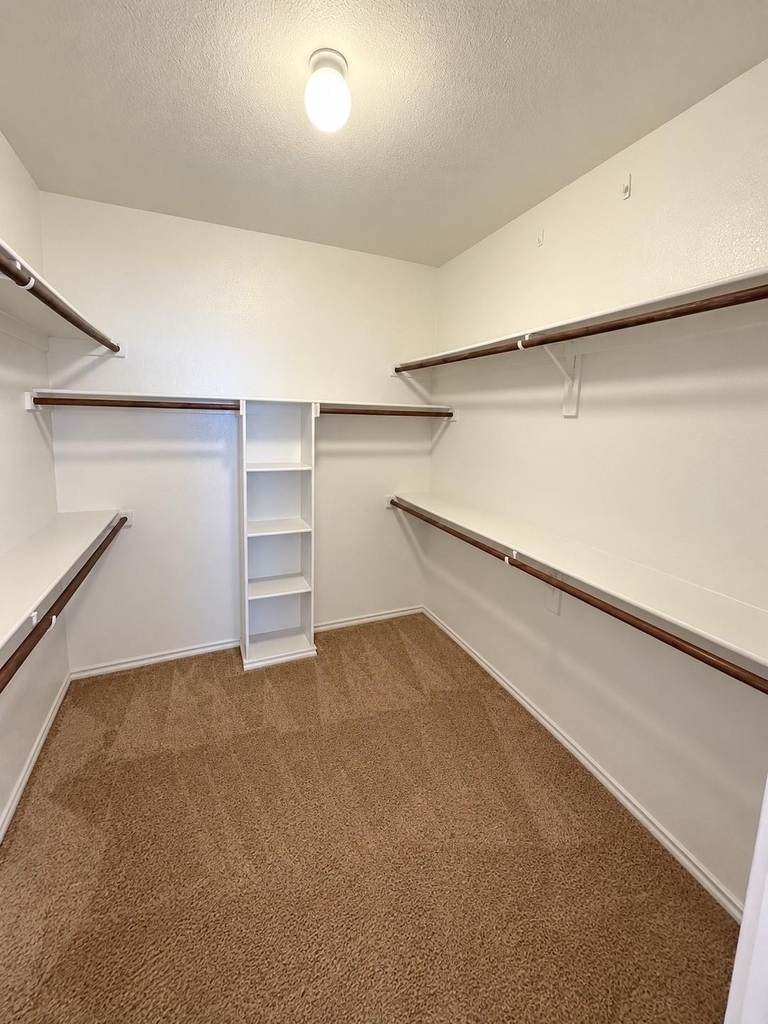 6344 Ferncreek Lane - Photo 13