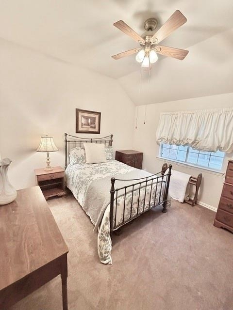 2508 Kariba Lane - Photo 17