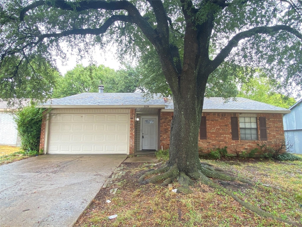 7139 Nutmeg Lane - Photo 0