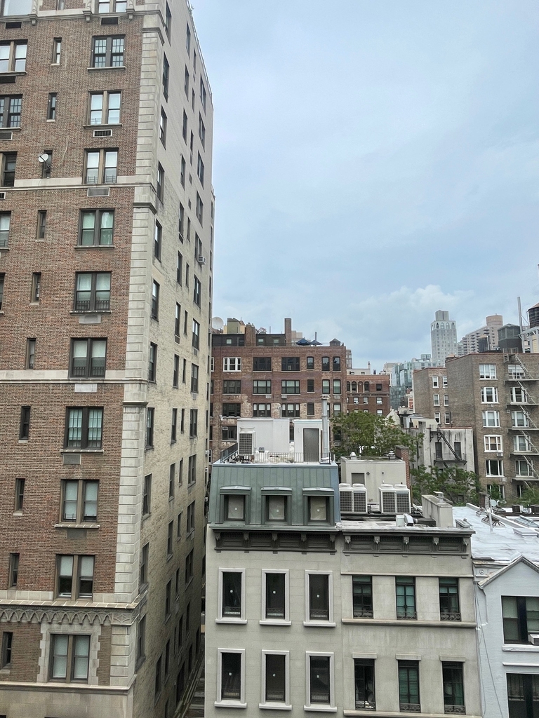  East 81st Street / Park Avenue - Photo 3