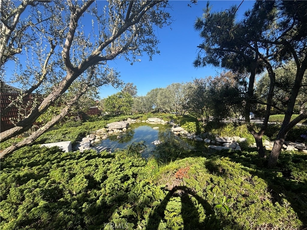 71 Cresta Verde - Photo 7