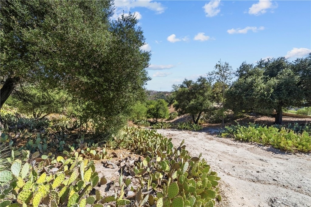18 Calotte - Photo 42