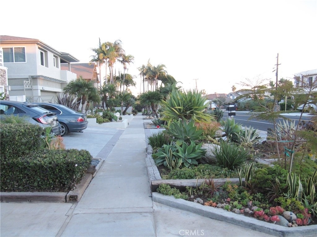 34602 Camino Capistrano - Photo 31