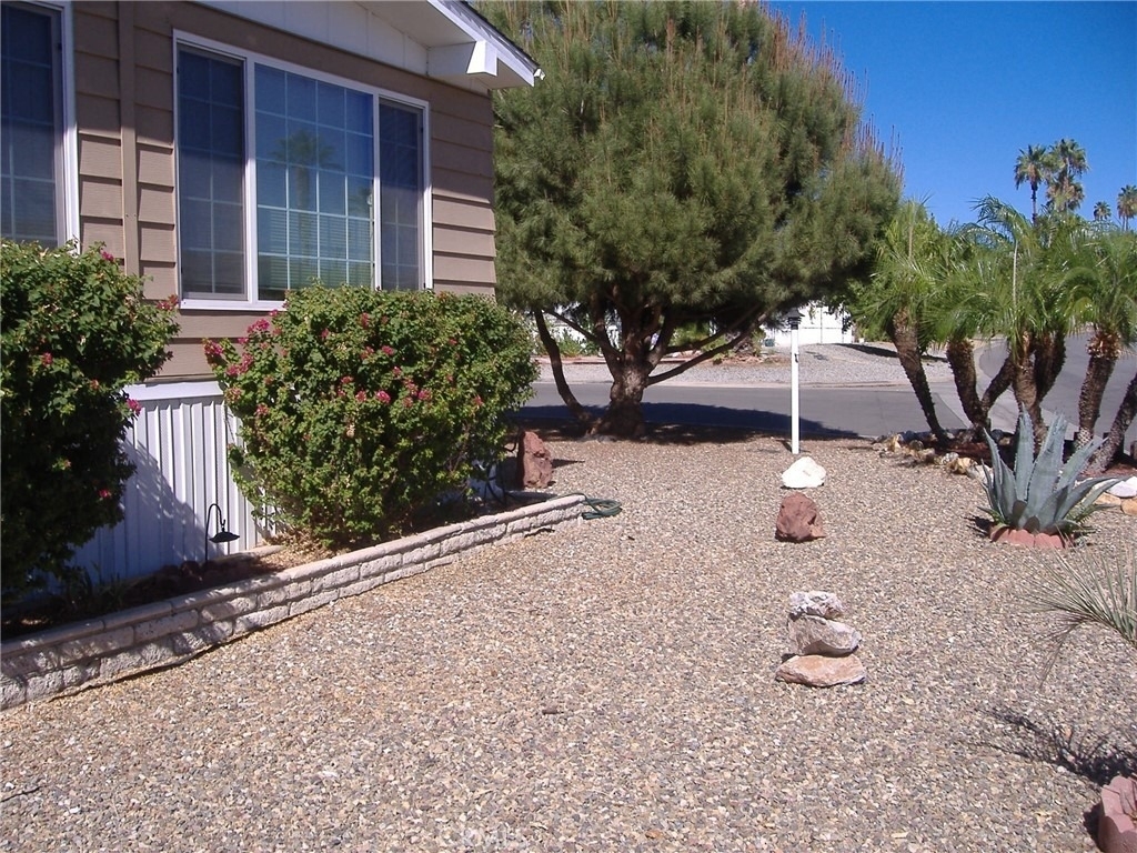 30678 Butia Palm - Photo 4