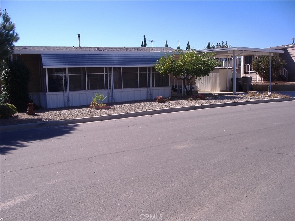 30678 Butia Palm - Photo 2