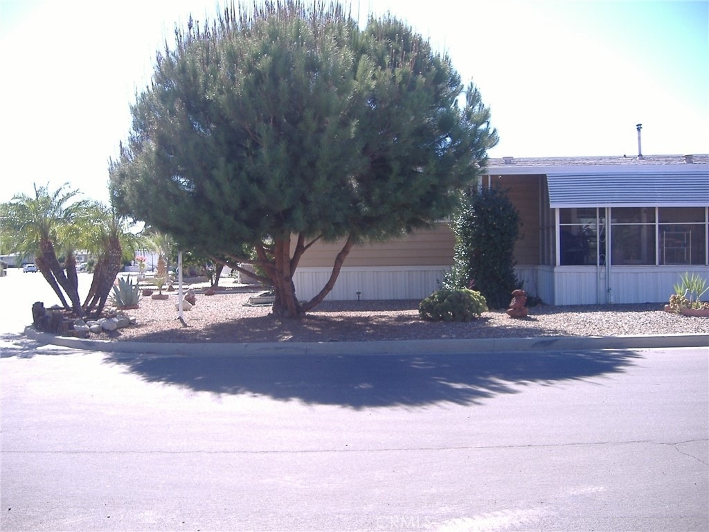 30678 Butia Palm - Photo 3