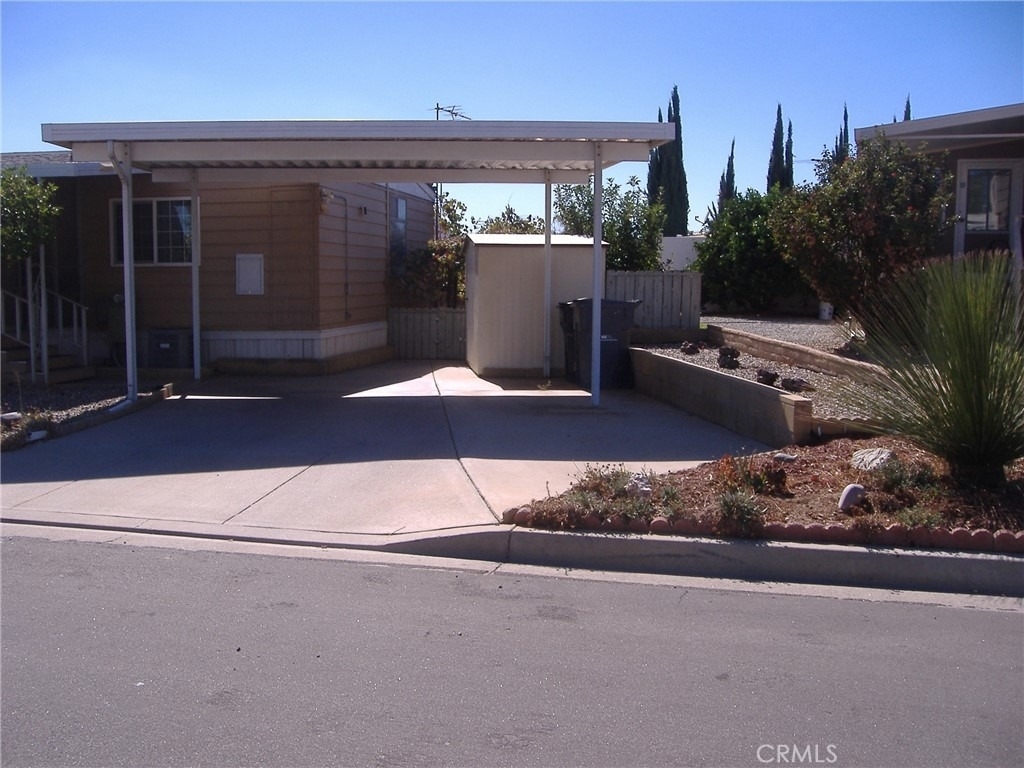 30678 Butia Palm - Photo 1